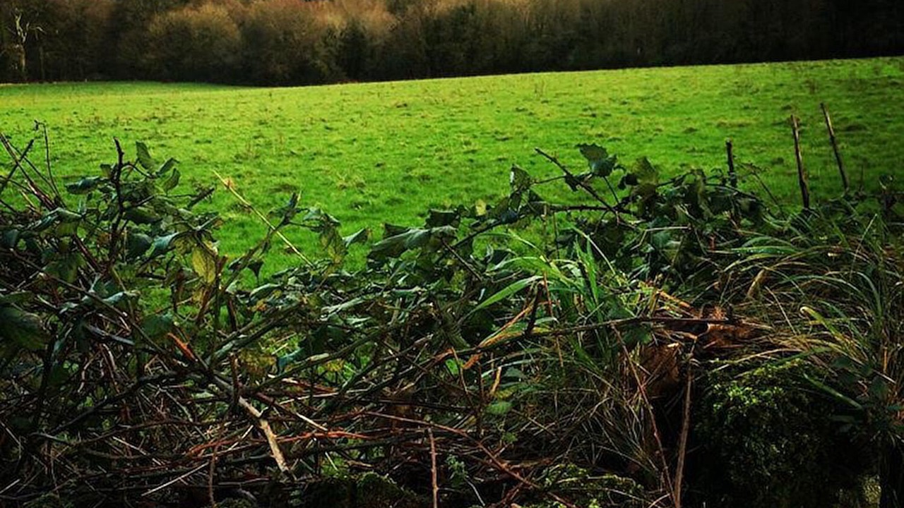 Photo of Outdoor in Kilfinane