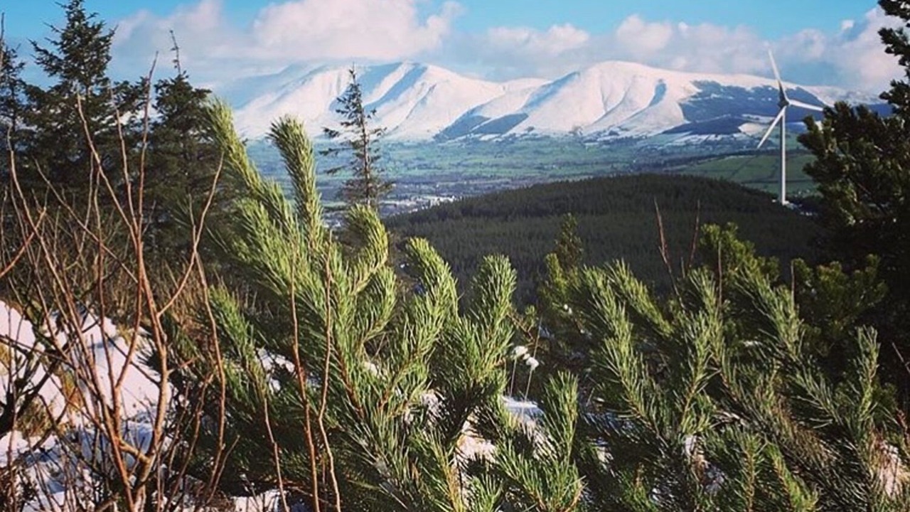 Photo of Outdoor in Kilfinane