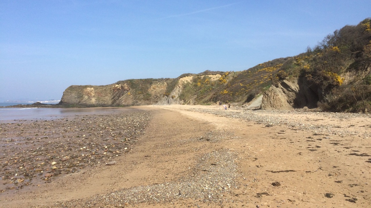 Photo of Others in Duncannon