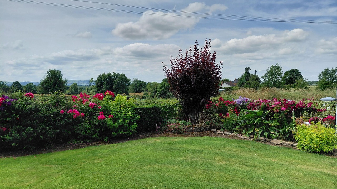 Photo of Outdoor in Cooga Upper