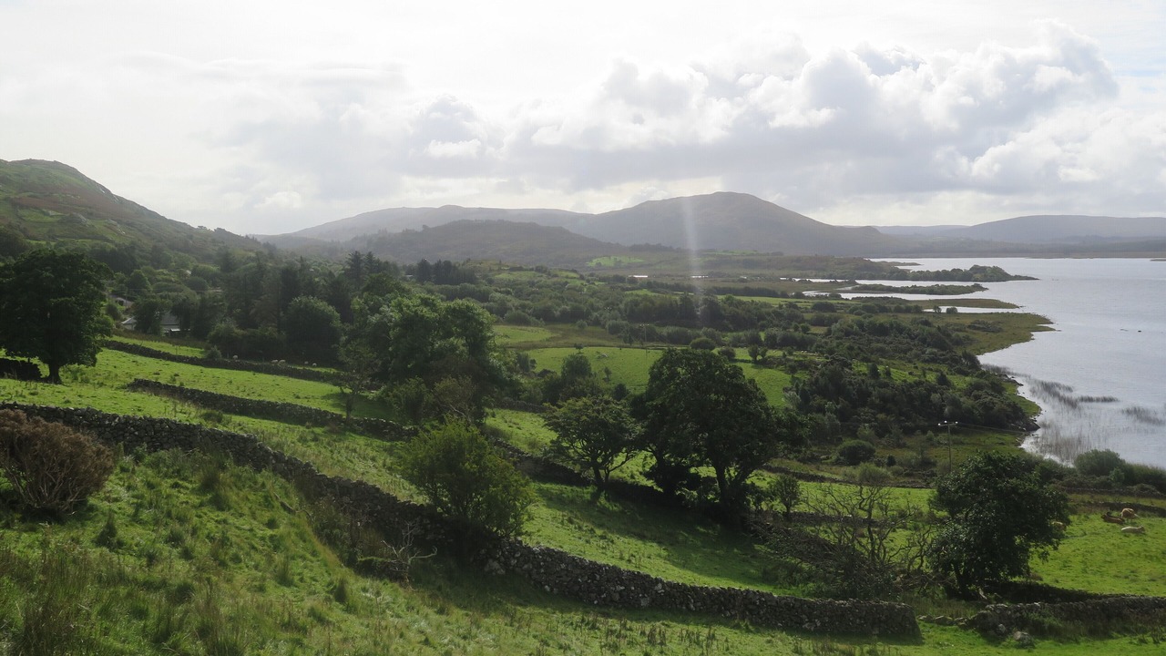 Photo of Others in Oughterard