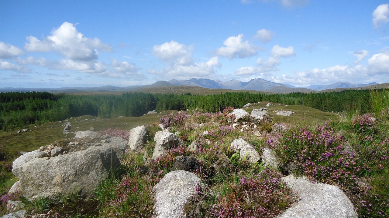 Photo of Outdoor in Oughterard