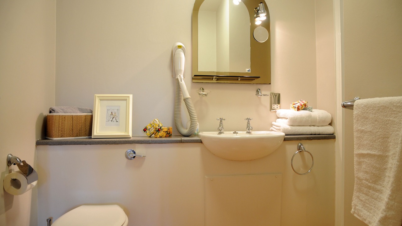 Photo of Bathroom in Dromin