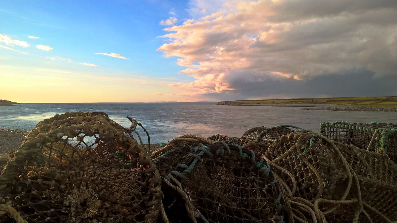 Photo of Others in New Quay