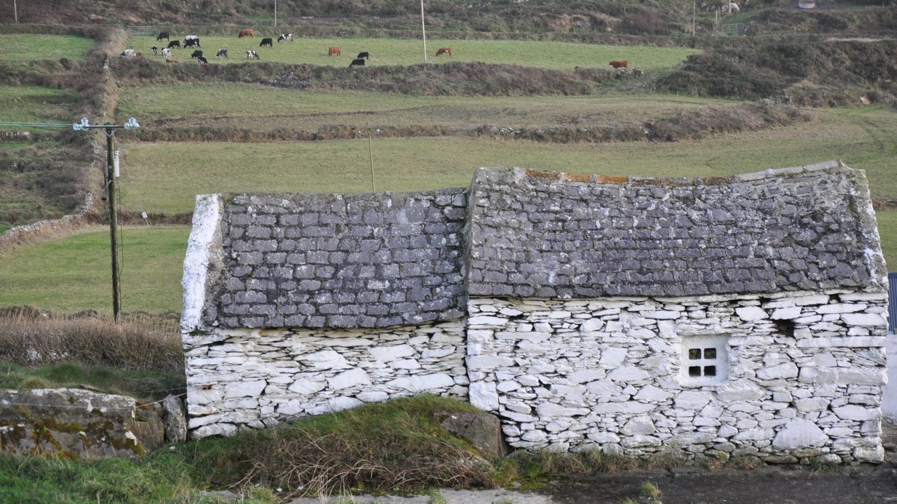 Photo of Others in Goleen