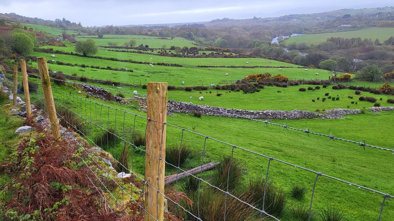 Photo of Others in Glenbeigh