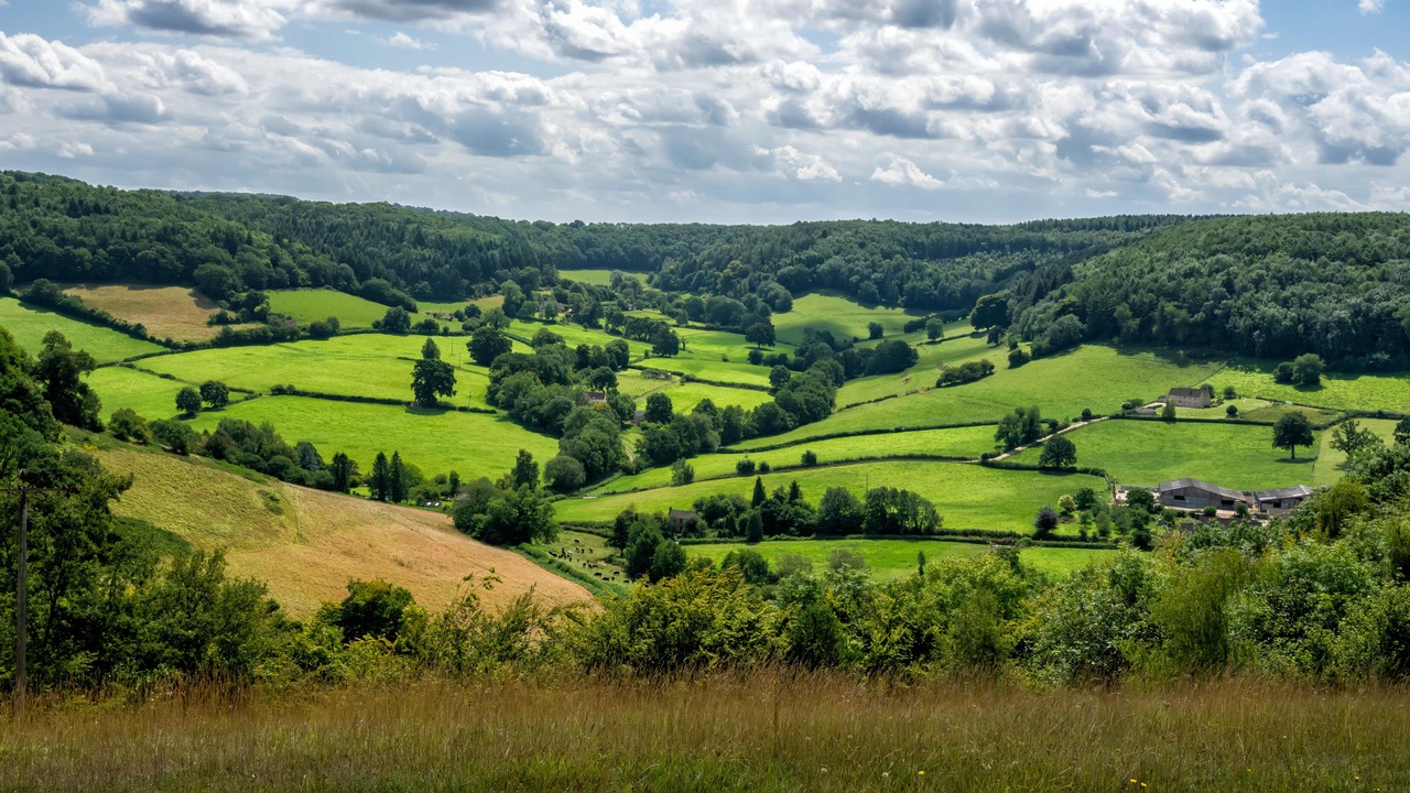 Photo of Others in Ozleworth