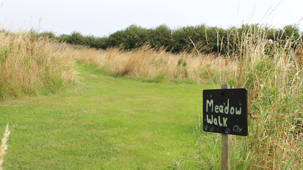 Photo of Outdoor in Buckton