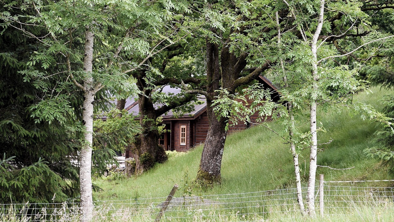 Photo of Others in Killin