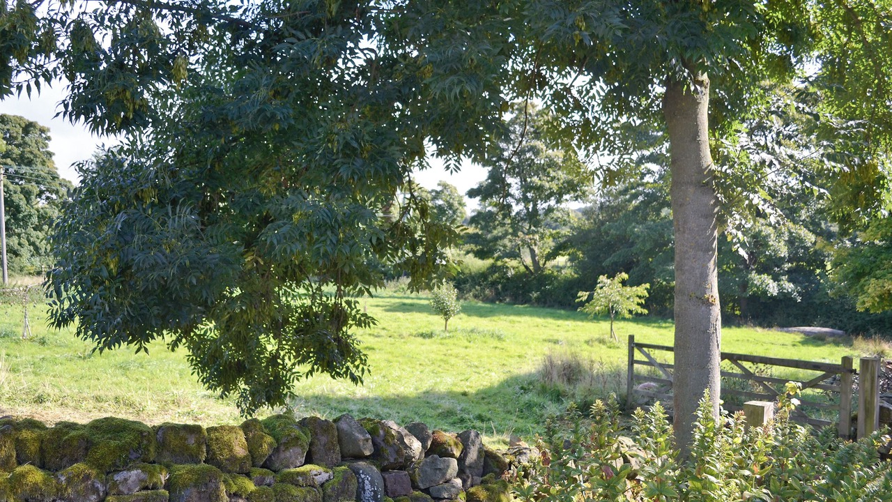 Photo of Others in Kirkby Malzeard