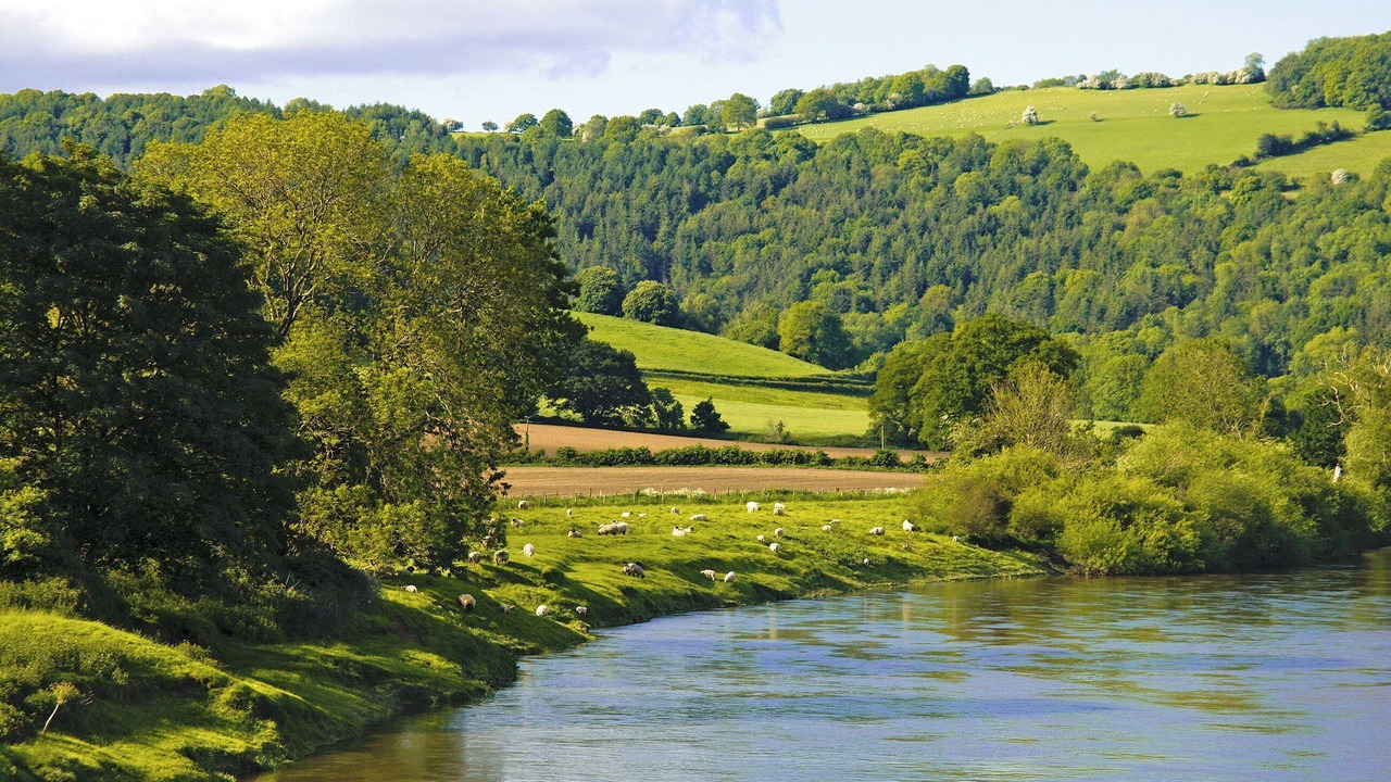 Photo of Others in Penallt