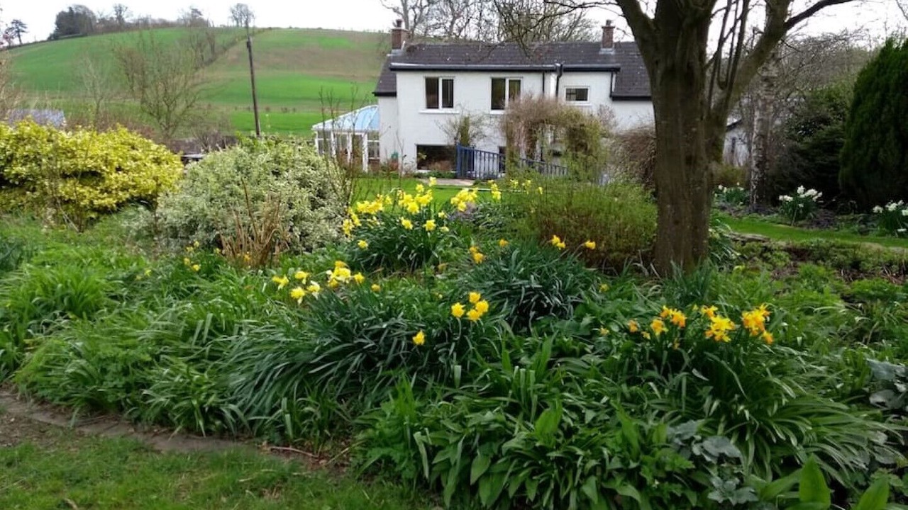 Photo of Outdoor in Lisburn