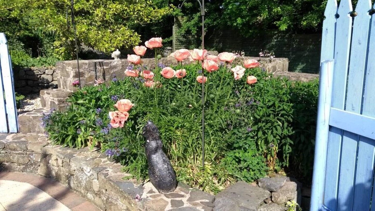 Photo of Outdoor in Lisburn