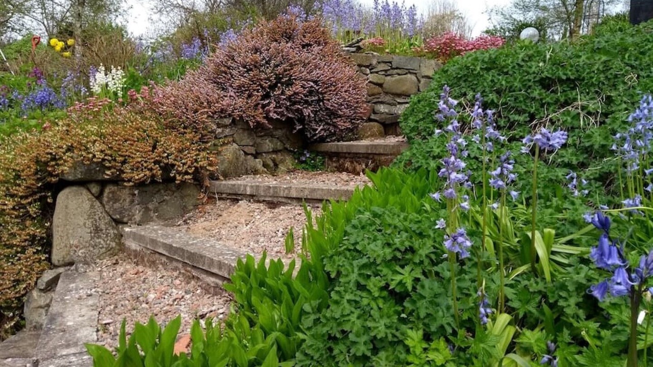 Photo of Outdoor in Lisburn