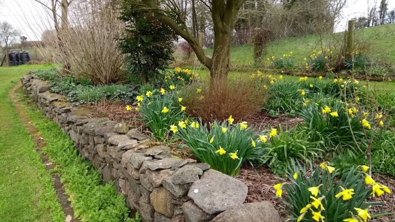 Photo of Outdoor in Lisburn