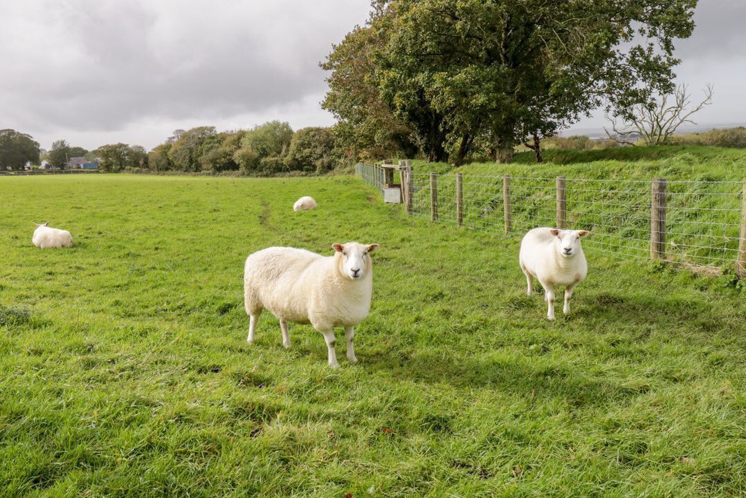 Photo of Others in Bont Newydd
