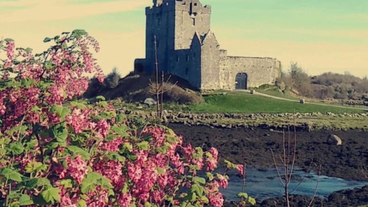 Photo of Others in Kinvara