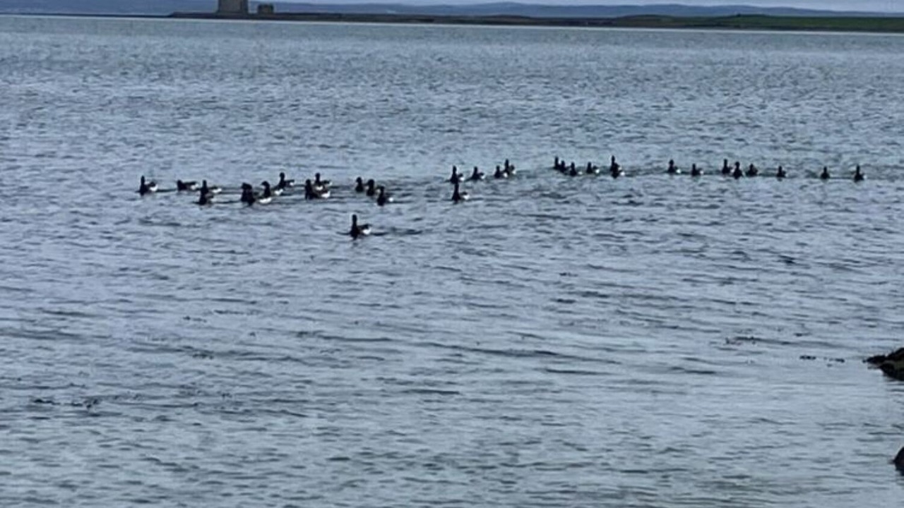 Photo of Others in Kinvara