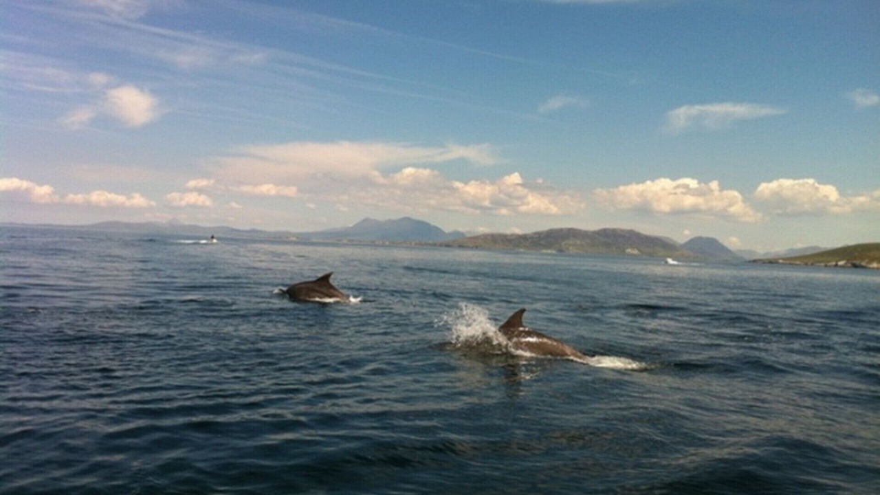 Photo of Others in Clifden