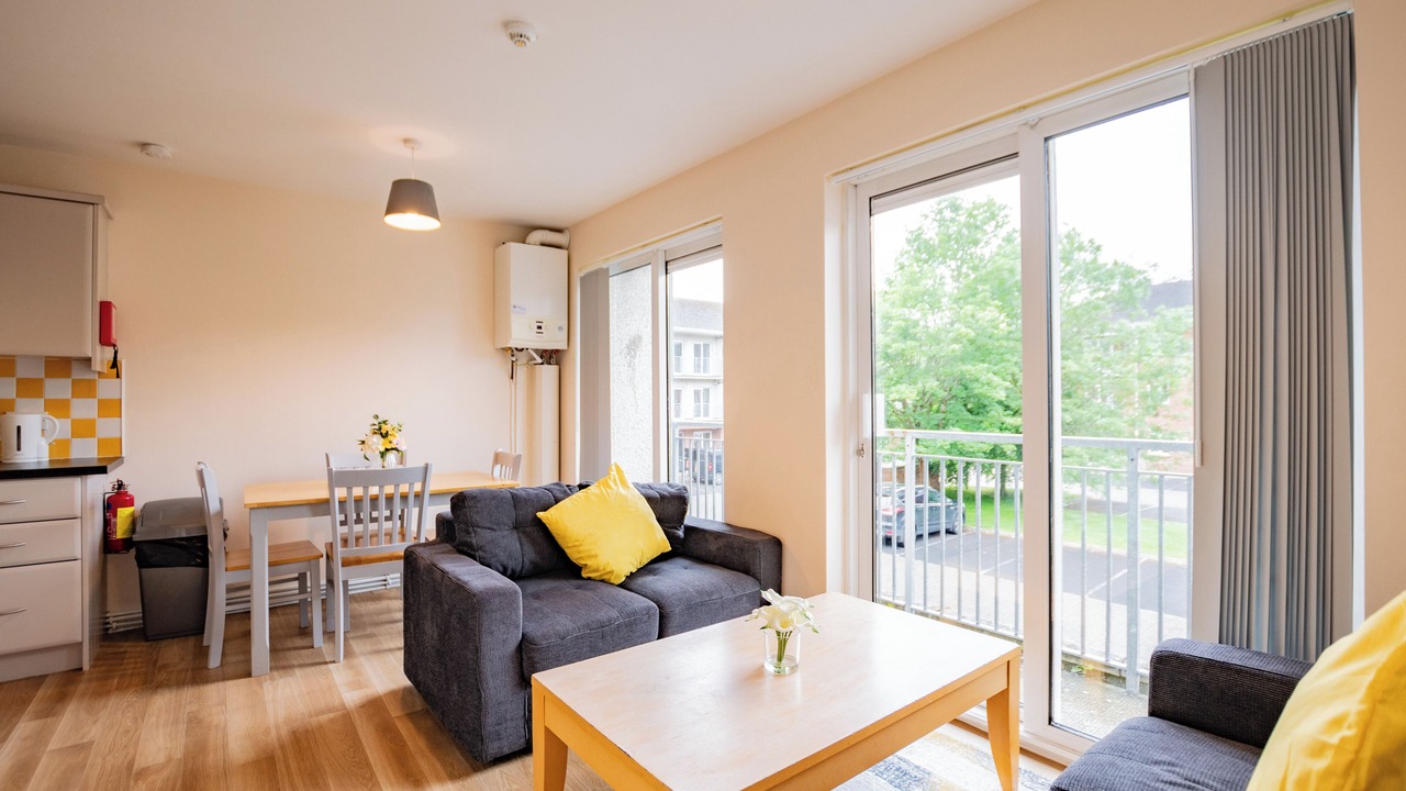 Photo of Livingroom in Limerick
