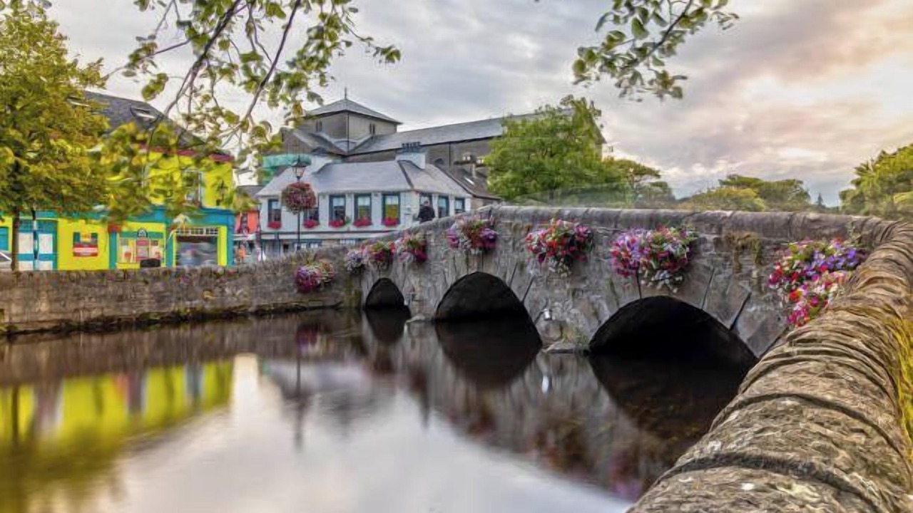 Photo of Others in Westport