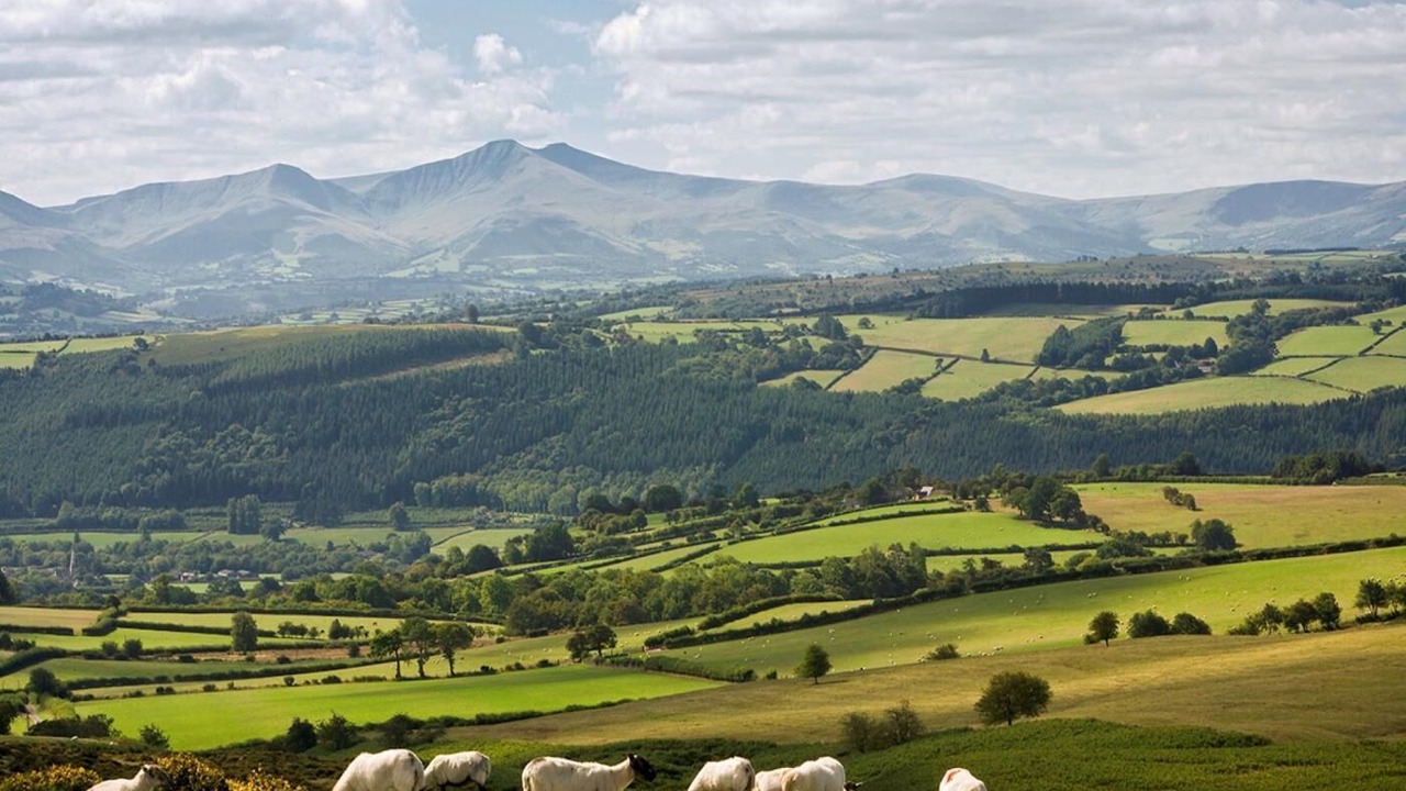 Photo of Others in Talybont-on-Usk