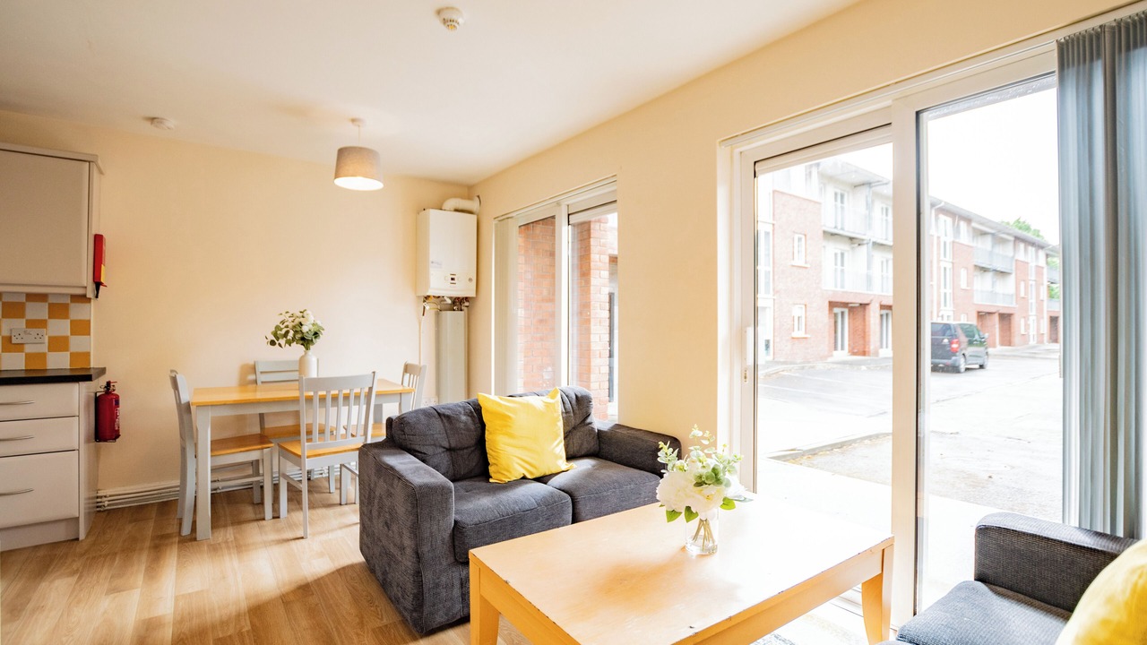 Photo of Livingroom in Limerick City Centre