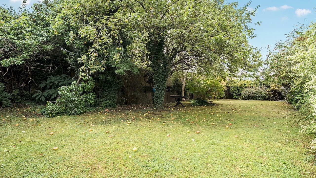 Photo of Outdoor in Swiss Cottage