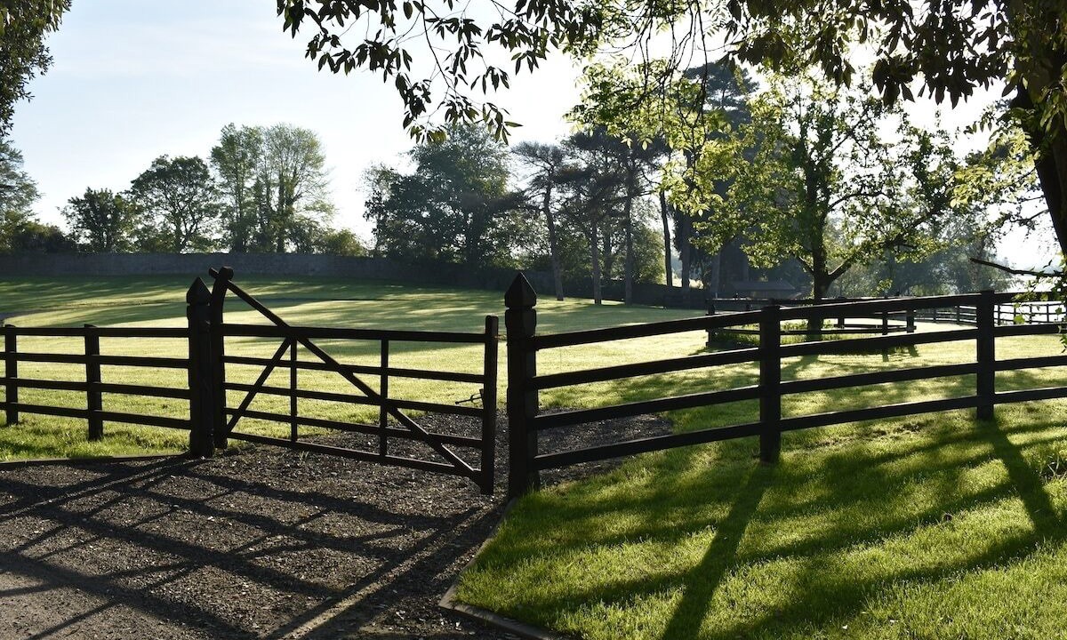 Photo of Outdoor in Leixlip