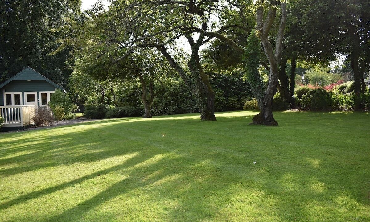 Photo of Outdoor in Leixlip