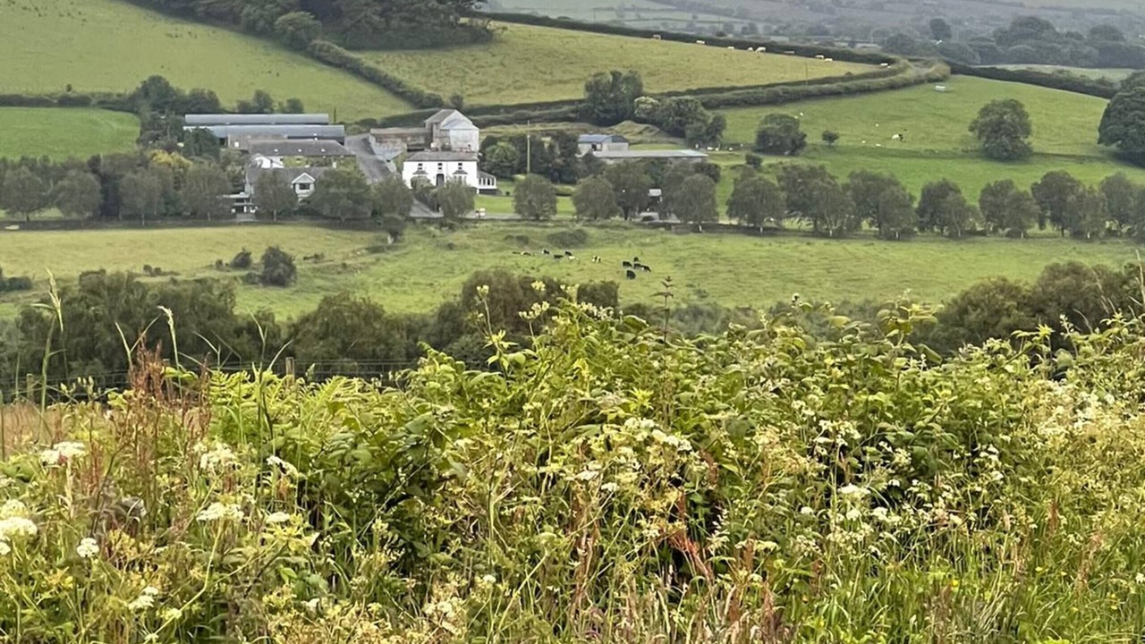 Photo of Others in Londonderry