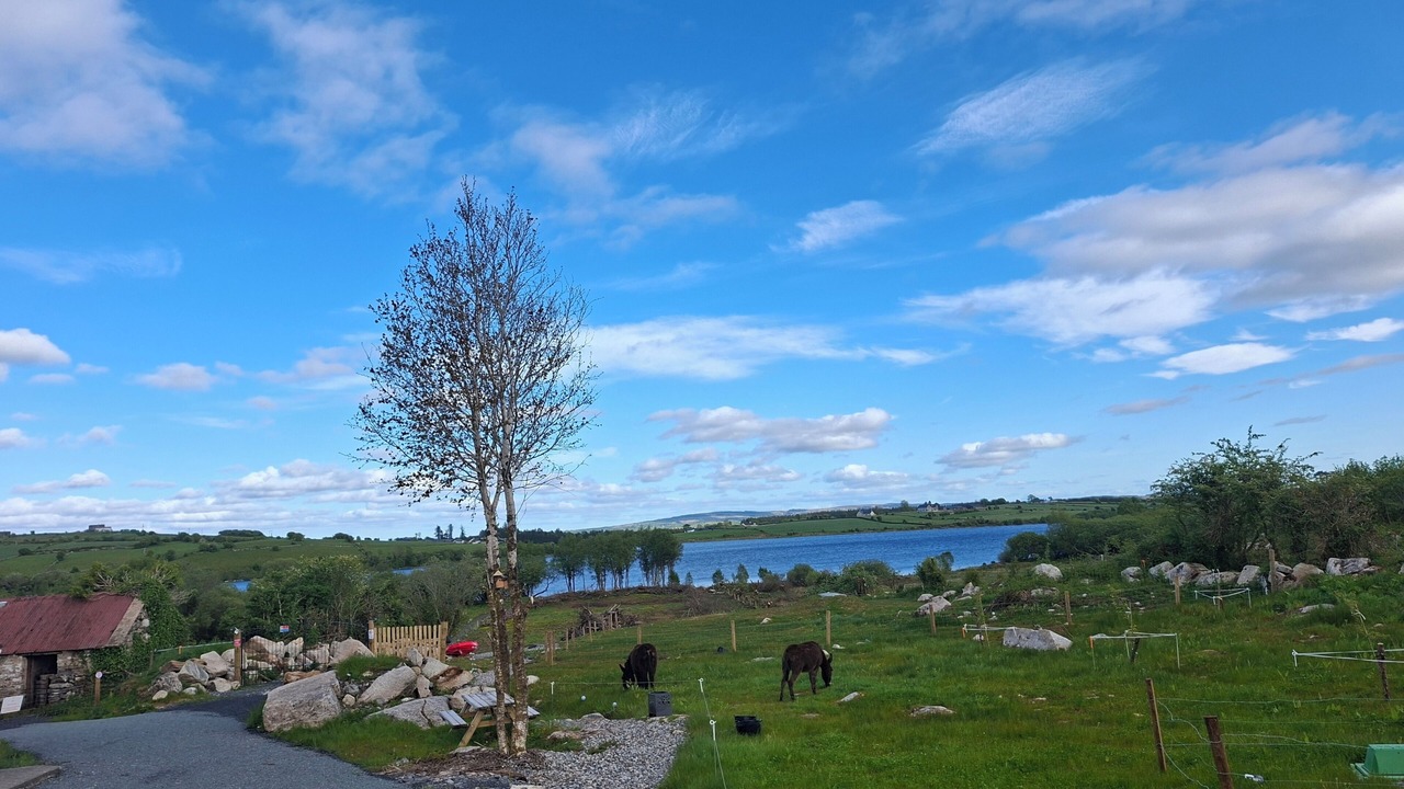 Photo of Others in County Mayo