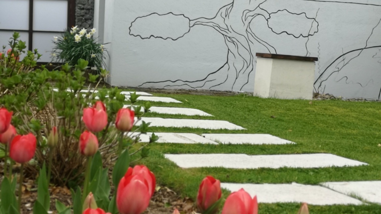 Photo of Outdoor in Trim