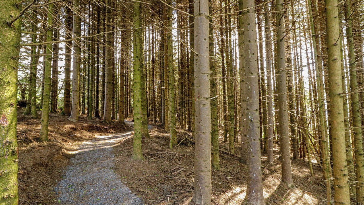 Photo of Others in Omagh