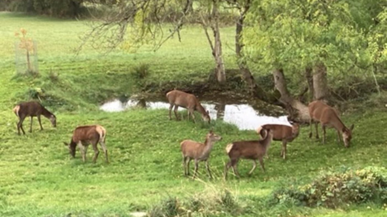 Photo of Others in Chepstow