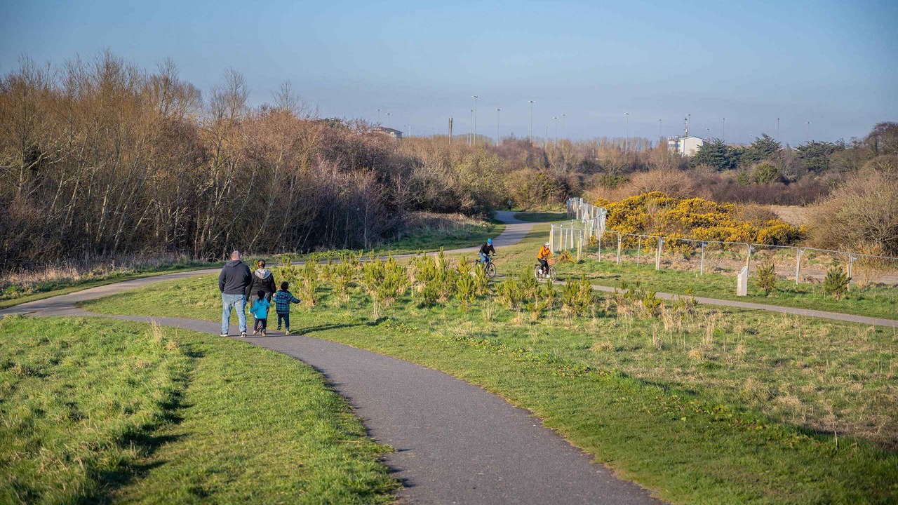 Photo of Others in Tallaght