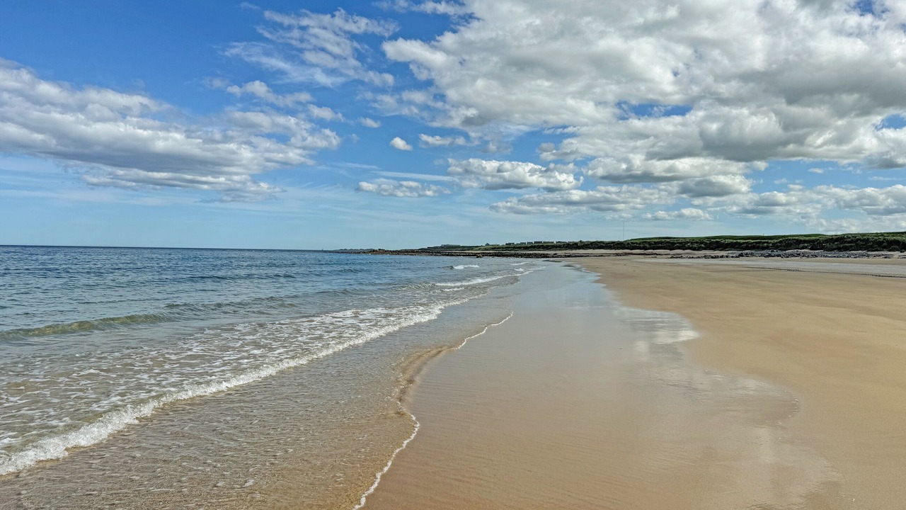 Photo of Others in Sandhaven