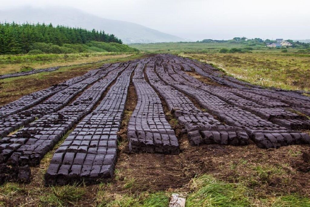 Photo of Others in Ballinskelligs