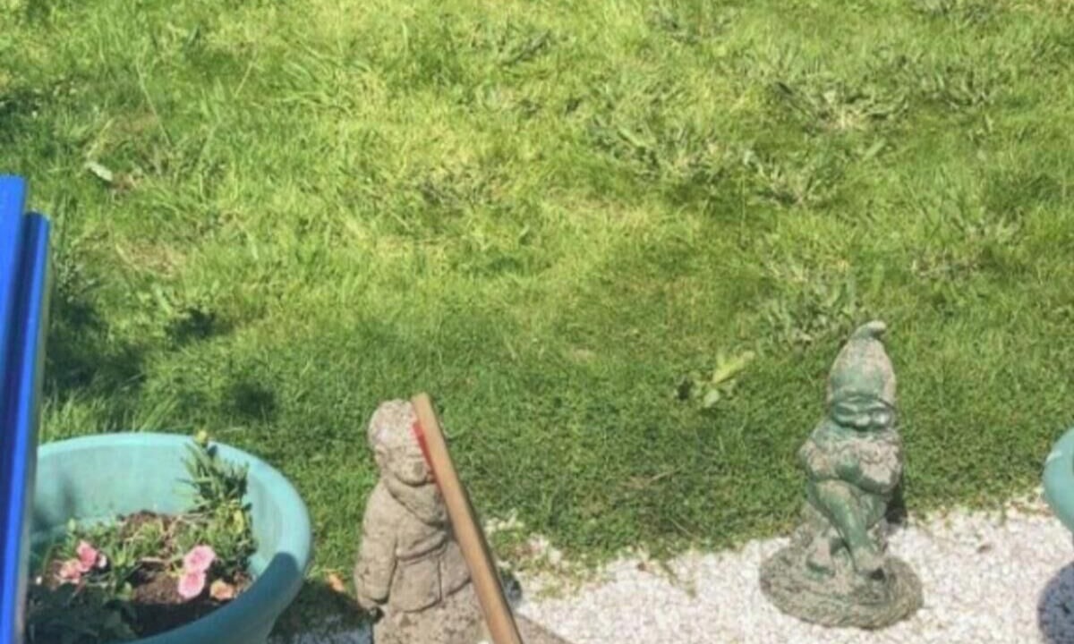 Photo of Outdoor in Wexford