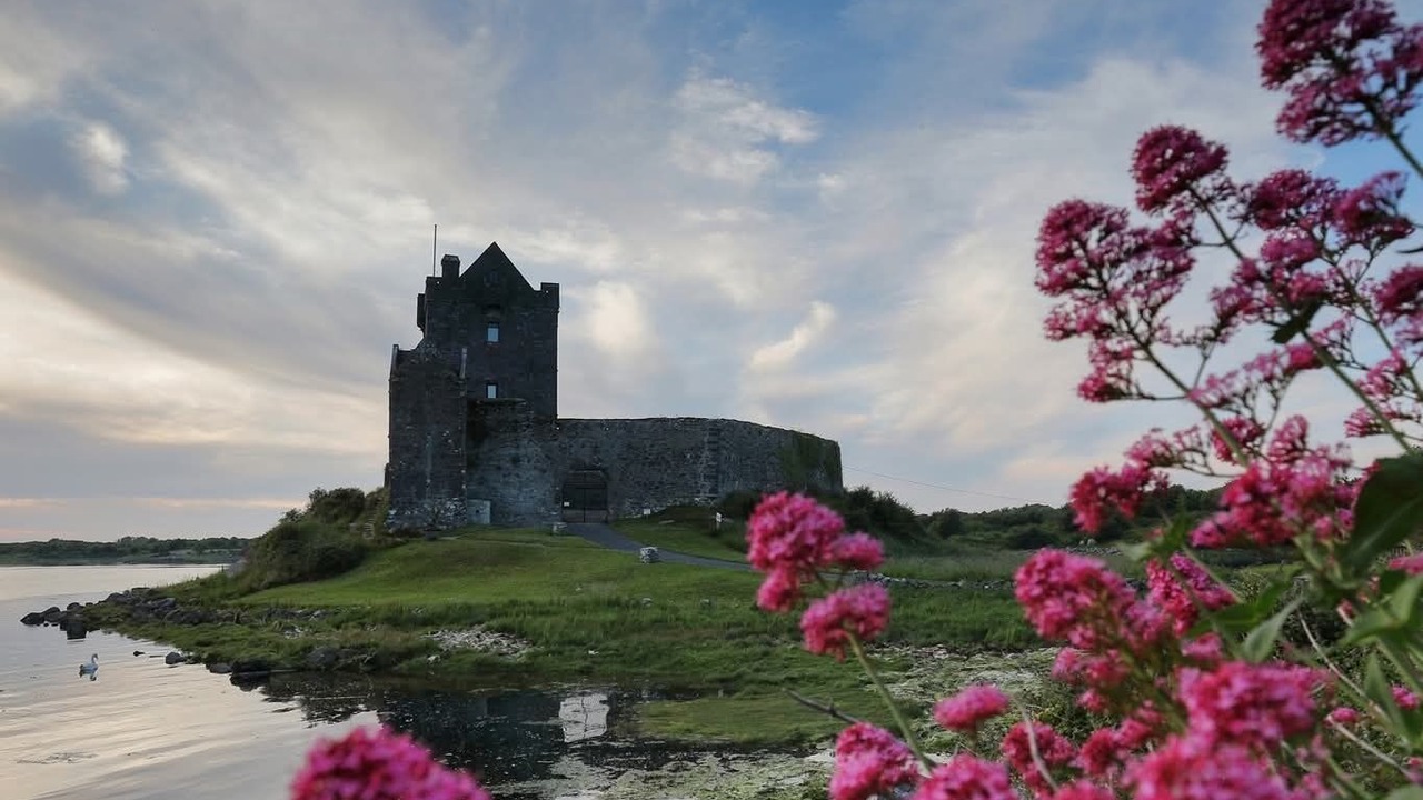 Photo of Others in Kinvara