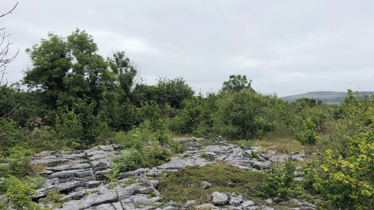 Photo of Others in Corofin