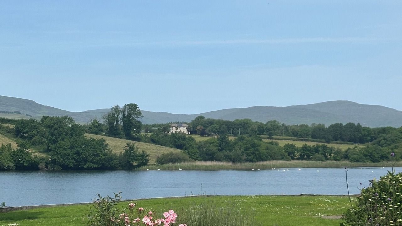 Photo of Others in Bantry