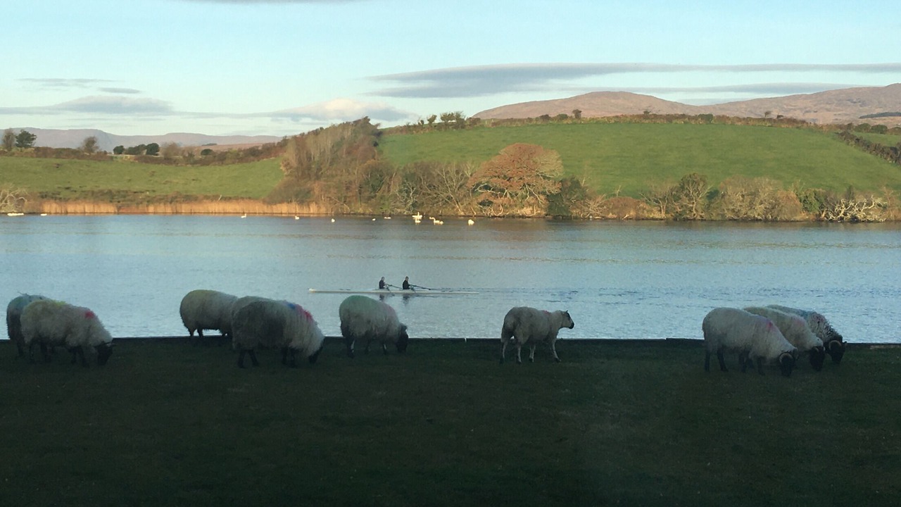 Photo of Others in Bantry