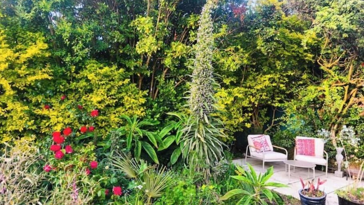 Photo of Patio Balcony in Wicklow