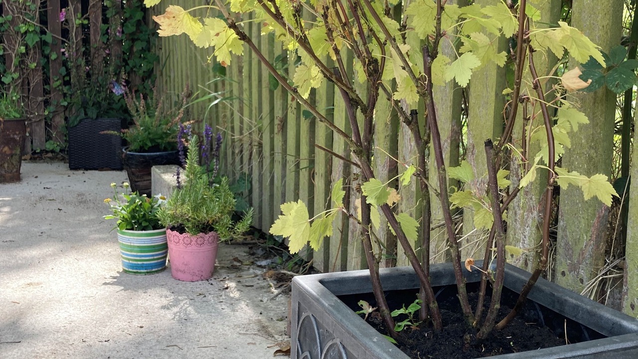 Photo of Outdoor in Armagh