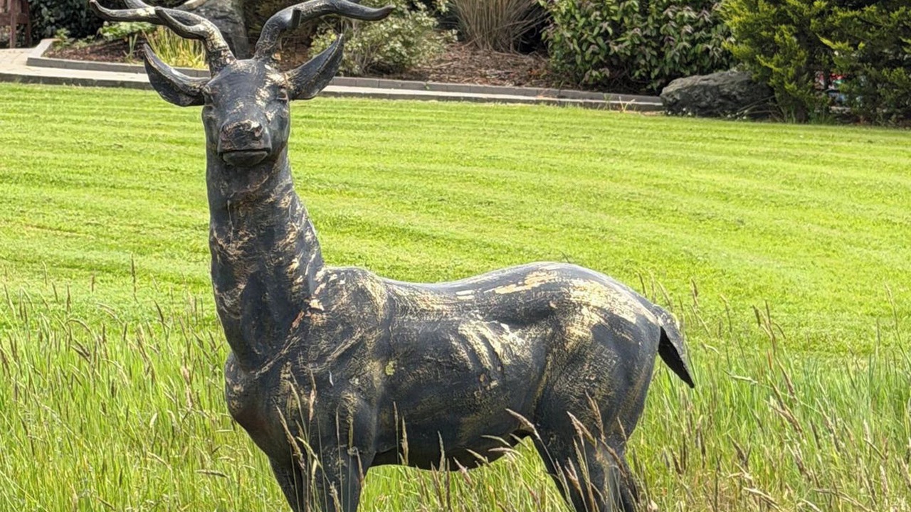 Photo of Others in Bushmills
