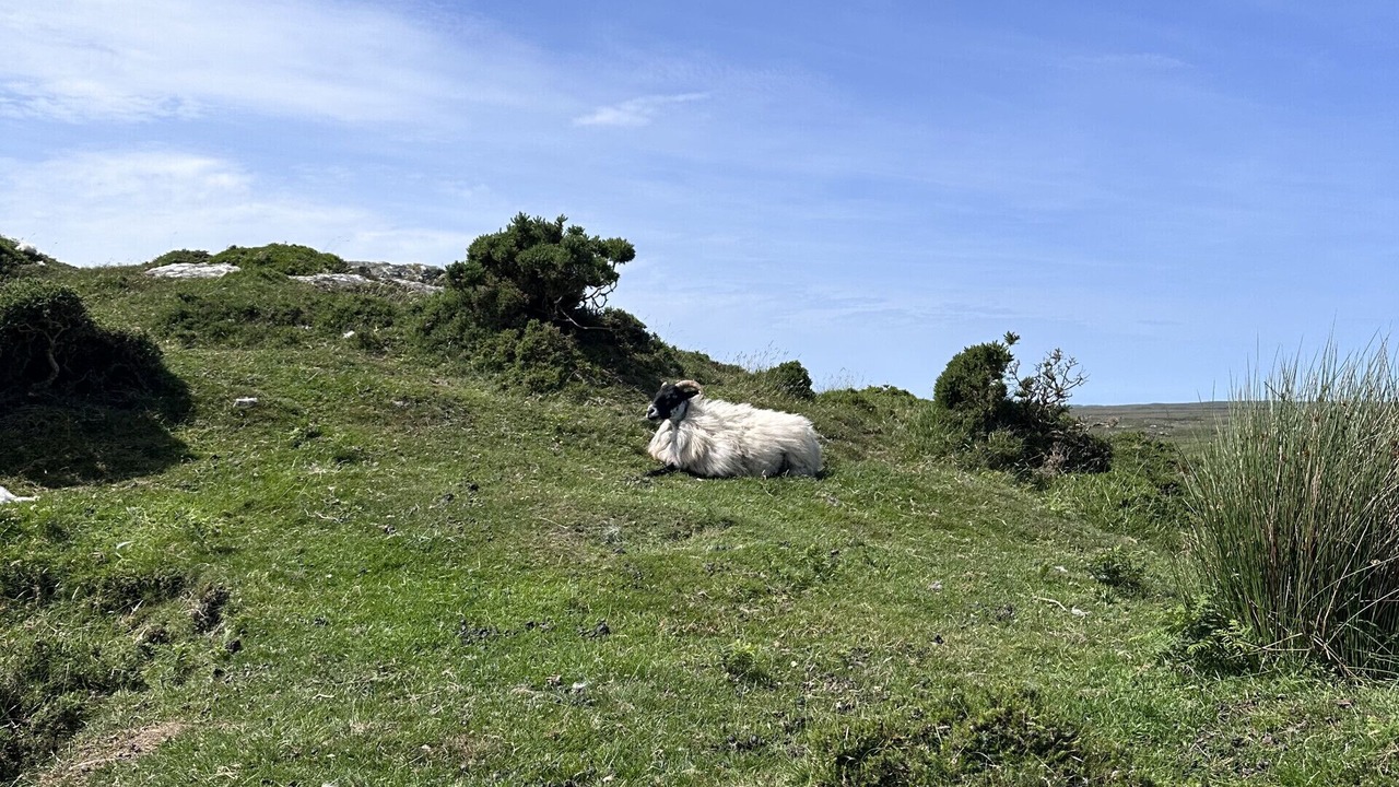 Photo of Others in Clifden