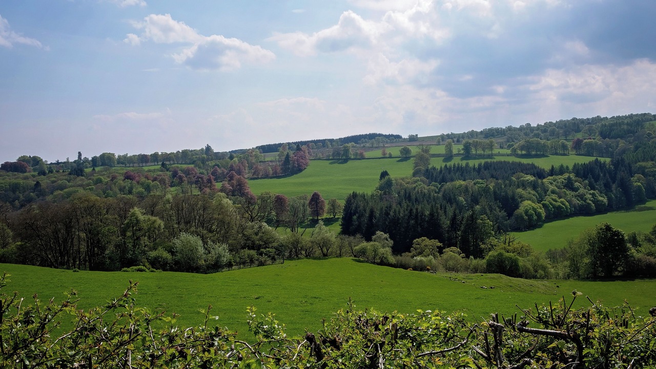 Photo of Others in Blairgowrie