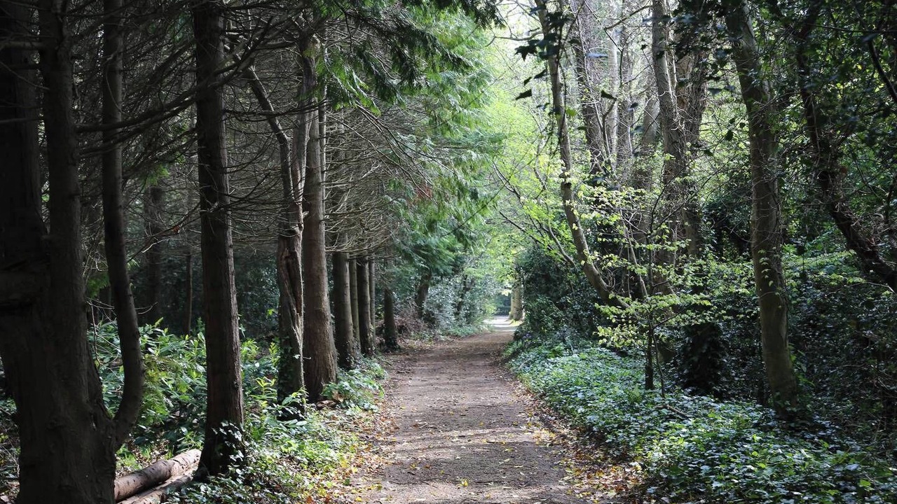 Photo of Others in Malahide