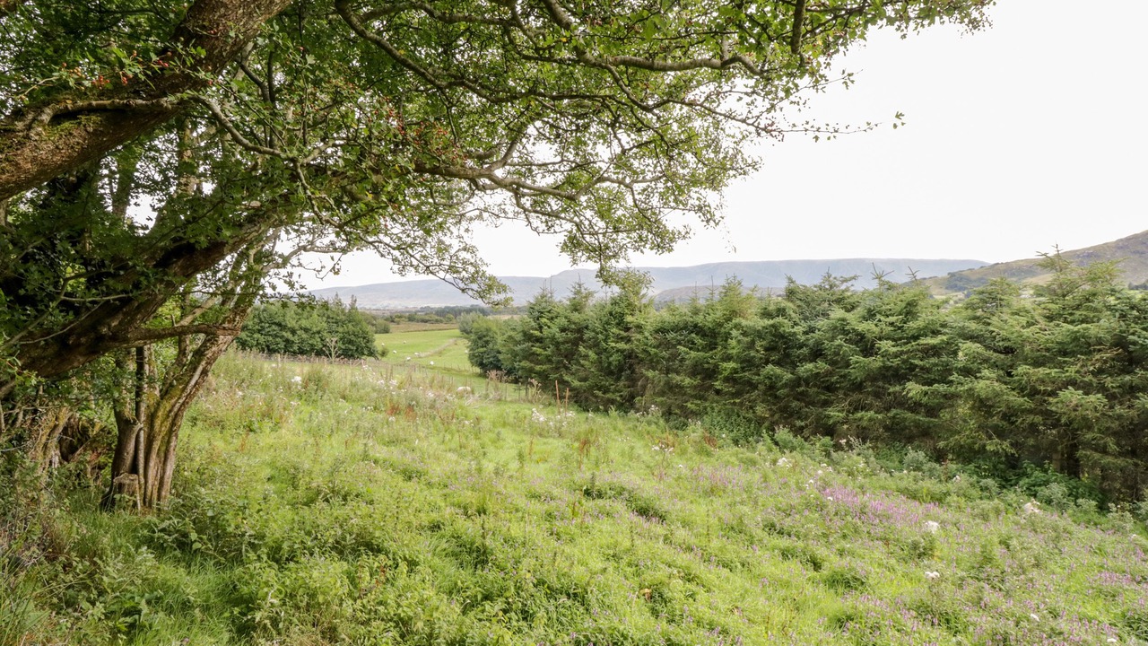 Photo of Outdoor in Carrowkennedy